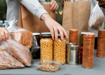 Distribuidora local ou atacadista: qual opção vale mais a pena?