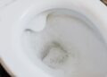 vaso sanitário