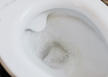 vaso sanitário