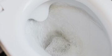 vaso sanitário