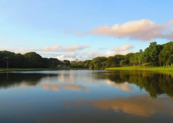 Terapia em Goiânia