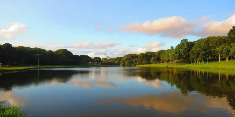 Terapia em Goiânia